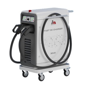 شارژر 30 کیلووات قابل حمل Toosa DP1-30