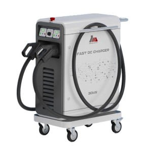 شارژر 30 کیلووات قابل حمل Toosa DP1-30